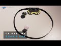 Boogie Dice - Self-Rolling, Sound-Activated Dice