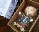 Anatomical Gummi Bear in Box