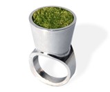 Living Jewelry Grass Ring