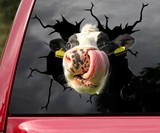 3D Animal Car Window Decals