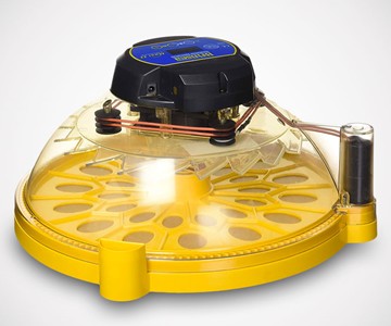 E173: What Is This Thing? E173: What Is This Thing?