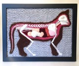 Knitted Dissections