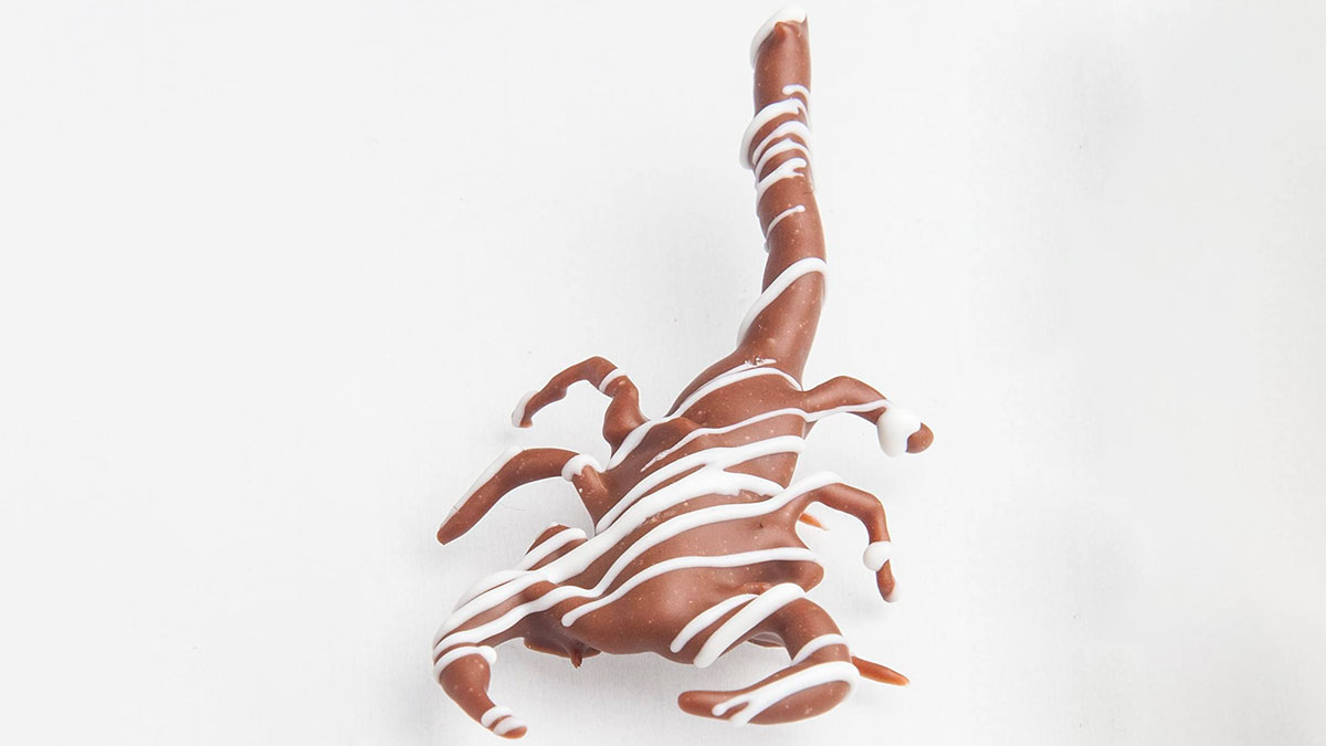 Chocolate Covered Scorpion Chocolate Covered Scorpion