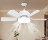 Socket Fanlight