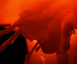 Self-Regenerative Wax Lamp