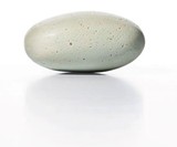 Parting Stone - Turn a Loved One's Ashes Into Pebbles