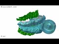 Blizzident - Six Second Toothbrush