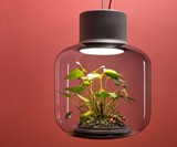 Mygdal Plantlight Self-Supporting Ecosystem