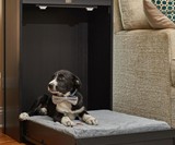 Murphy Style Dog Bed