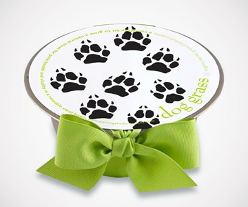 Dog Grass Grow Bowl Dog Grass Grow Bowl