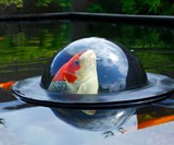 Velda Floating Pond Bubble