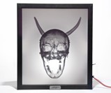X-Ray Lightbox - Corporate Evolution Inverted