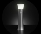 Trioh Beauteous Flashlight