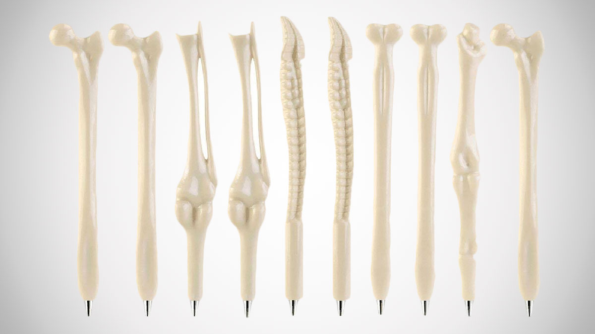 Human Bones Ballpoint Pen Set Human Bones Ballpoint Pen Set
