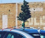 The Christmas Car Tree