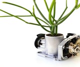 Recycled Motorcycle Carburetor Planter