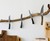 Messerast Knife Holders Messerast Knife Holders