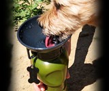 AutoDogMug - Portable, Leak-Free Dog Water Bowl