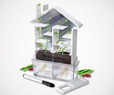 Maze Planter DIY Build & Grow Botany Kit