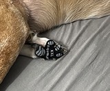 Dog Paw Anti-Slip Pads