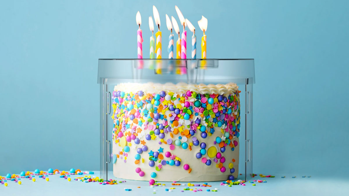 Top It Cake Shield Top It Cake Shield