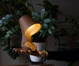Ohmie Lamp - Lamp Made from Orange Peels