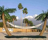 Palm Island Hammock Stand