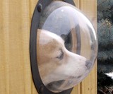 Pet Peek