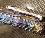 T-Rex Folding Knife