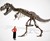 Life-Size T-Rex Skeleton