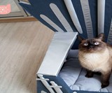 Iron Throne Cat Bed