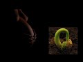 Spiritree: From Death to Treeincarnation