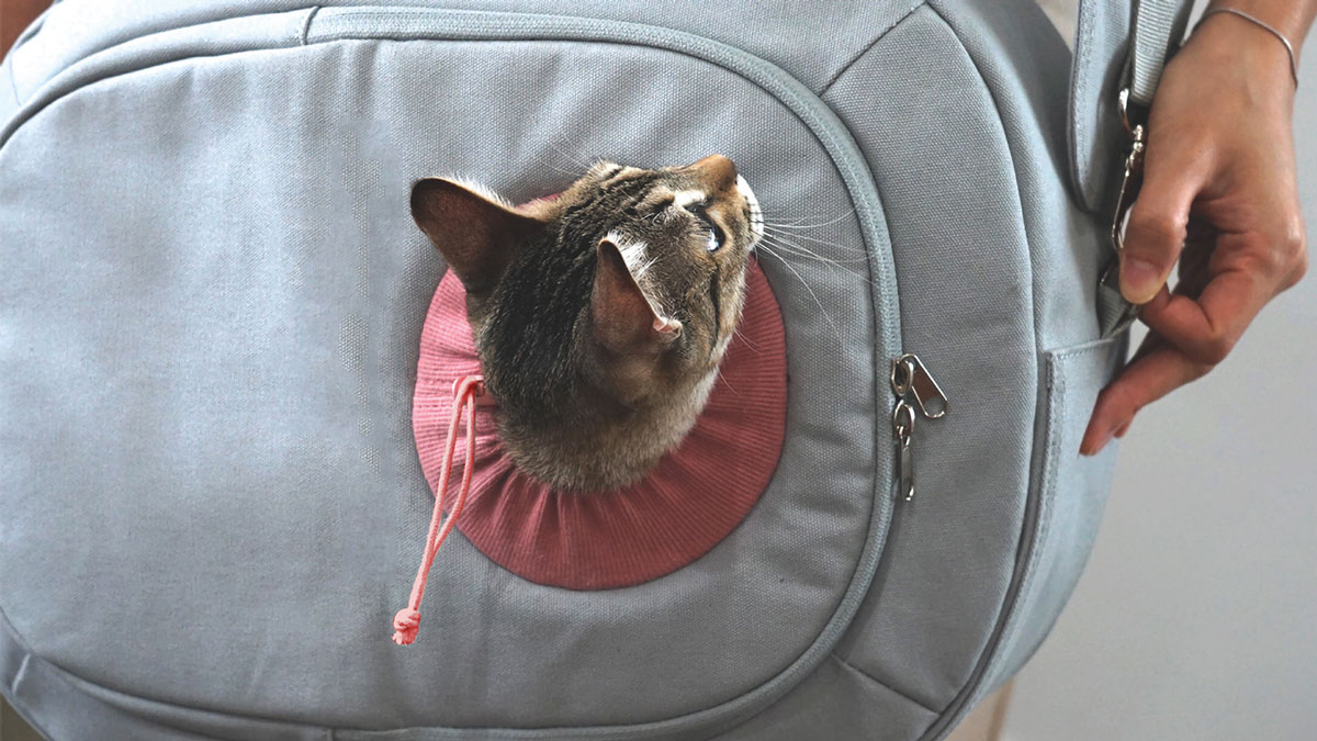 Hoonico Moomoo Bag Pet Carrier