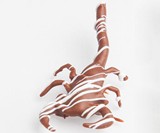 Chocolate Covered Scorpion
