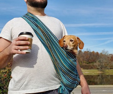 Walking Palm Dog Sling