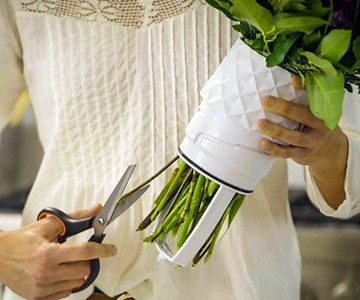 Amaranth Vase Amaranth Vase