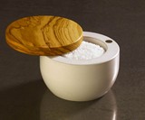 Concrete Salt Keeper
