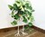 Bird Foot Plant Stand Bird Foot Plant Stand