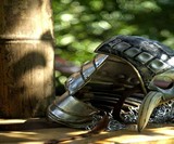 Wild Knight Dog Armor