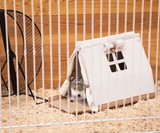 Hedgehog Carry House