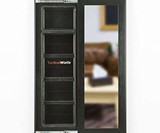 Concealed Storage Mirror