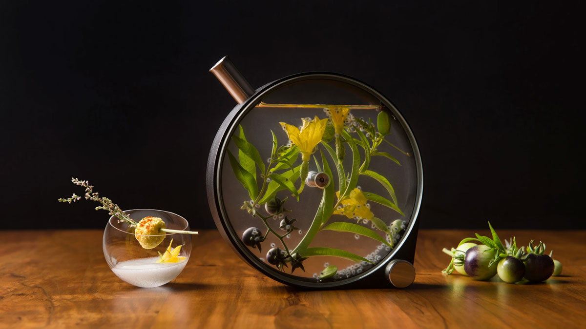 The Porthole Infuser The Porthole Infuser