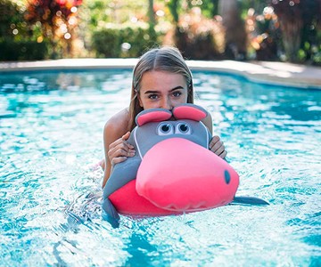 Big Joe Pool Petz Big Joe Pool Petz