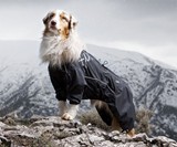 Dog Overalls