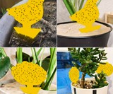Fruit Fly & Fungus Gnat Trap for Plants
