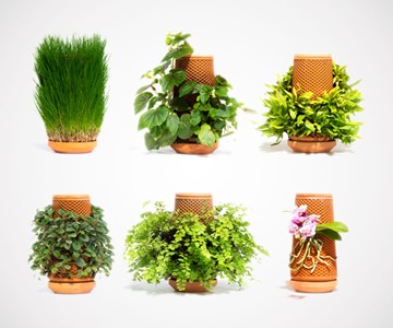 terraplanter Inside-Out Hydroponic Planter