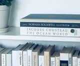 CovoBox Hidden Storage - Real Books Electronics Covers