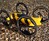 B - The RC Hybrid Car-Helicopter B - The RC Hybrid Car-Helicopter