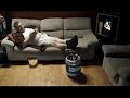 Remote Control Cooler