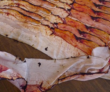 Fou Lard Bacon Scarf Fou Lard Bacon Scarf